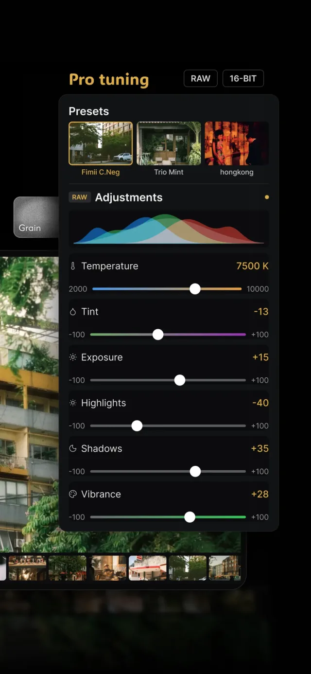 Fimii Pro tuning panel — RAW adjustments for temperature, tint, exposure, highlights, shadows, vibrance, and grain